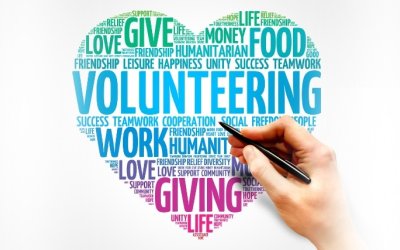 Volunteer Diaries: A Day in the Life